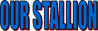 OUR STALLIONS